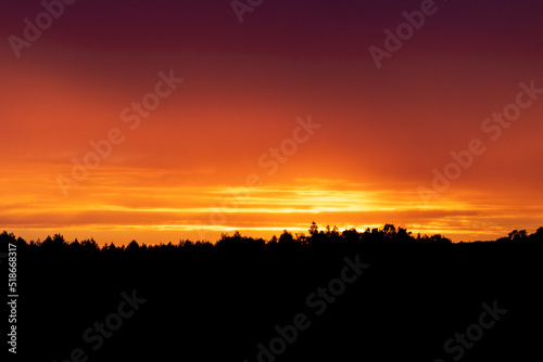 Fiery sunset with tree line silhouette in a distance