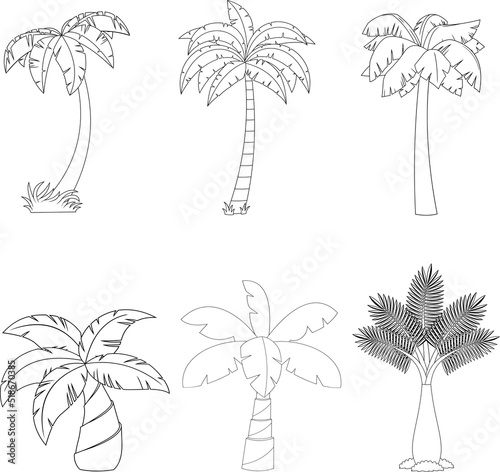 Outlined Cartoon Different Tropical Palm Tree. Vector Hand Drawn Collection Set Isolated On White Background
