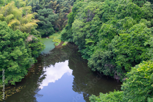 High angle shot of green rain forest canopy along river in Japan.