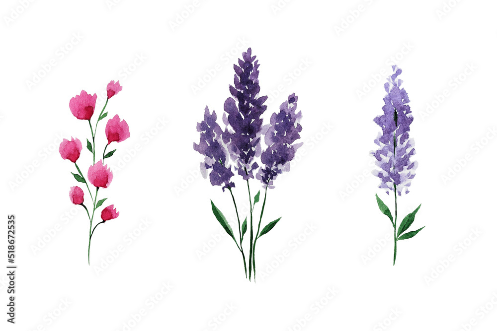 Hand drawn watercolor set of flowers. Lavender. Pink flower. Twig. Plant watercolor set. Elements for the decoration of postcards and invitation. Elements for creating wars. Watercolor texture flowers