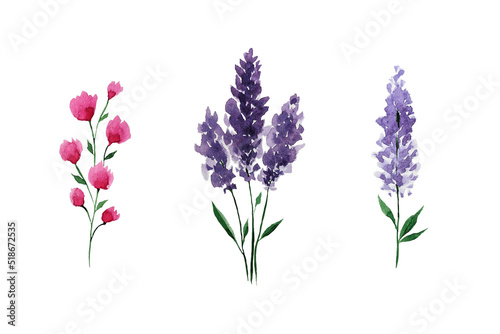 Fototapeta Naklejka Na Ścianę i Meble -  Hand drawn watercolor set of flowers. Lavender. Pink flower. Twig. Plant watercolor set. Elements for the decoration of postcards and invitation. Elements for creating wars. Watercolor texture flowers