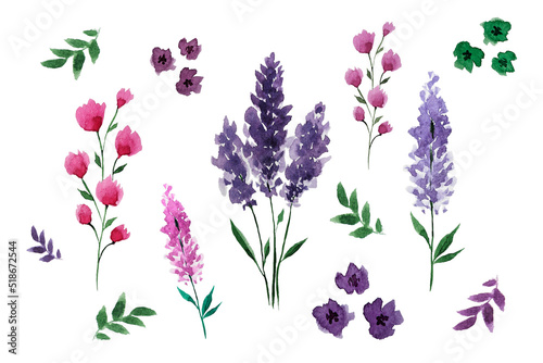 Drawn large watercolor flower set. Watercolor plants. Lavender. Floral set for creating invitation cards. To create patterns. Cosmetics. Product design.