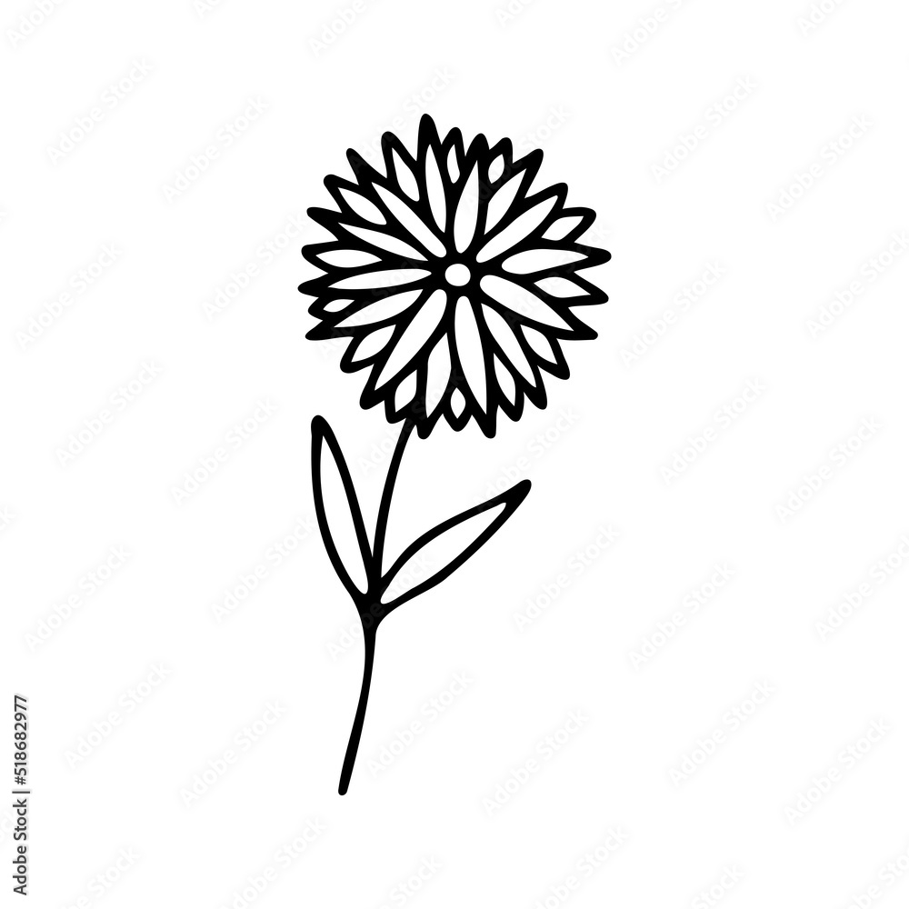 custom made wallpaper toronto digitalHand drawn herbal, floral clipart. One line doodle vector