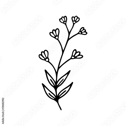 Hand drawn herbal, floral clipart. One line doodle vector © anntre