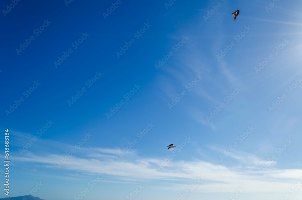 Beaches of Ensenada, Baja California, Mexico.
The sea with its spectacular colors, give a beautiful view with paradisiacal landscapes Beaches of Ensenada, Baja California, Mexico.
The sea with its spectacular colors, give a beautiful view with paradisiacal landscapes