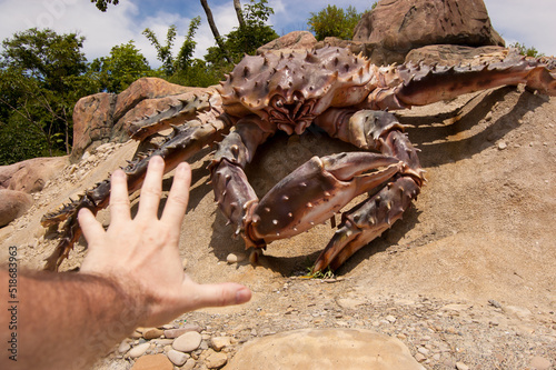 Man closes his hand from a giant crab