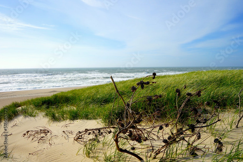 Blick von der Düne aus auf den Strand und die tobenden Wellen der Nordsee an der dänischen Küste, Dänemark, Urlaub, Natur, Umwelt, Erleben