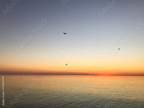 Seagulls at sunset - summer sea. Baltic Sea © panistrzelec
