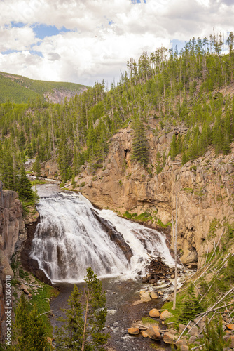 Sunny view of the landscape around Gibbon Falls in Yellowstone National Park