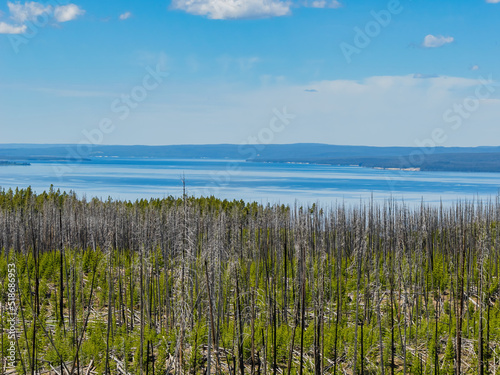 Sunny beautiful landscape of Yellowstone Lake in Yellowstone National Park