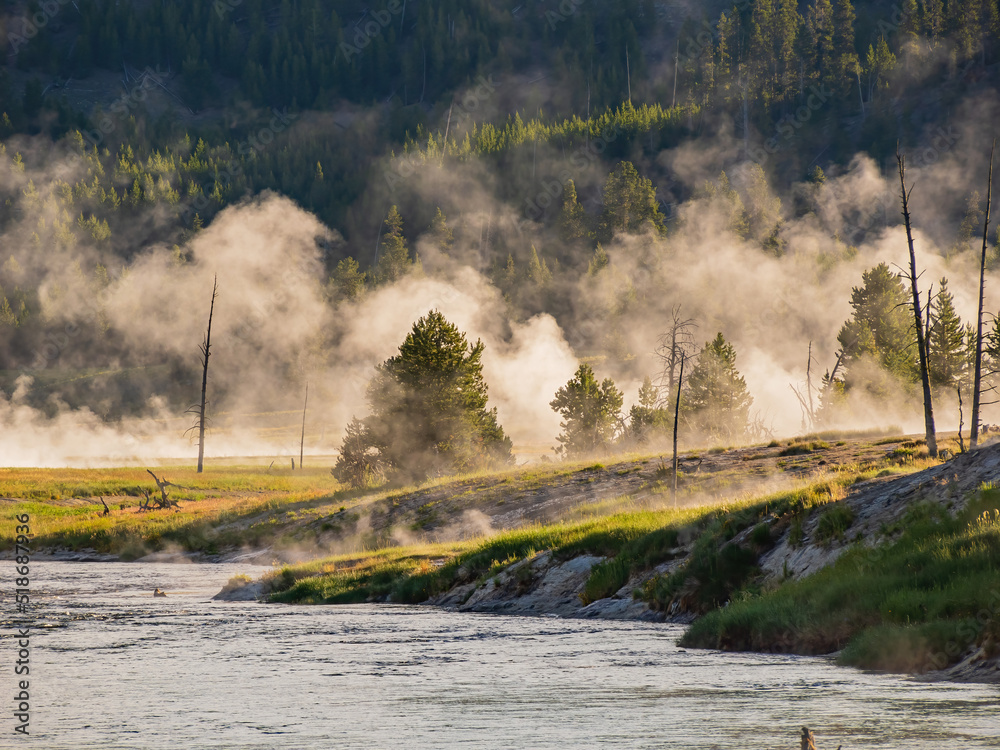 Sunrise landsacpe along the Firehole River with steam and forest