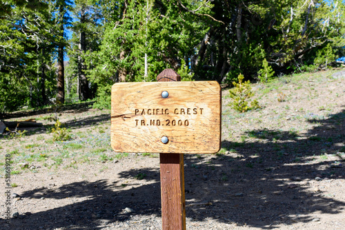 Pacific Crest Trail Sign in pine tree forest photo