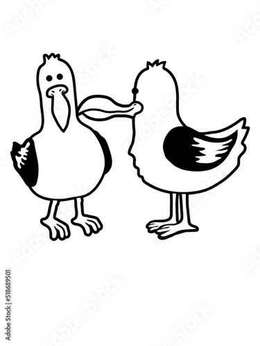 2 lustige Möwen Freunde 