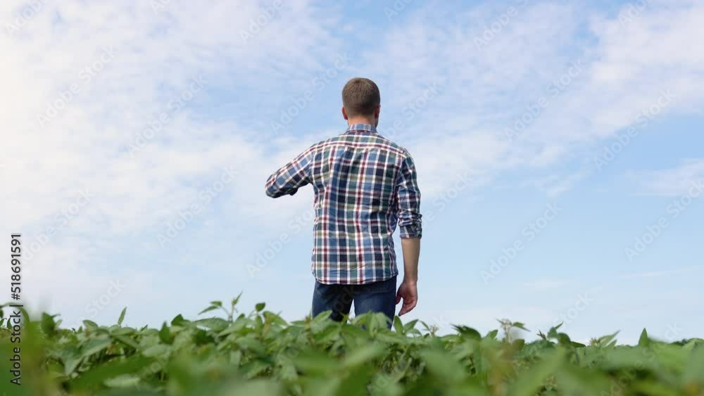 Young farmer in a soybean field looking into the distance Young farmer in a soybean field looking into the distance