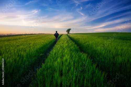 person walking in the field