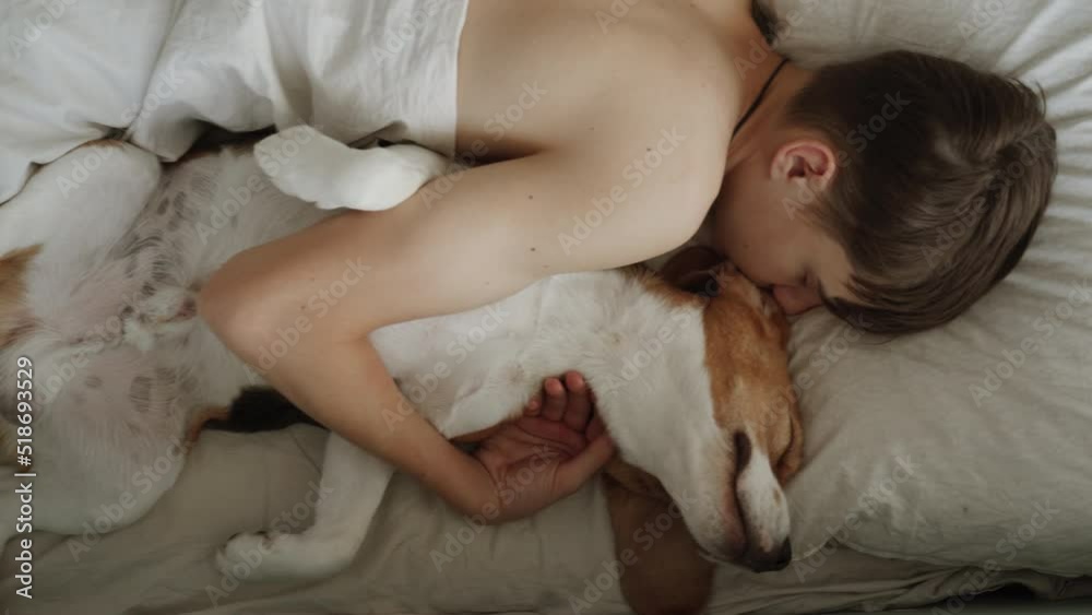 Teenager sleeps with his dog in the bed. The dog looks very funny. Best friend of the human. Beautiful purebred beagle sleeps with his owner. Close-up Teenager sleeps with his dog in the bed. The dog looks very funny. Best friend of the human. Beautiful purebred beagle sleeps with his owner. Close-up