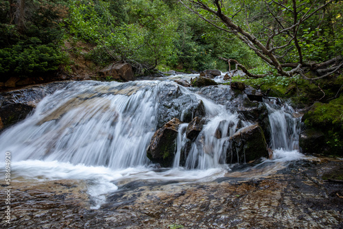 waterfall in the forest