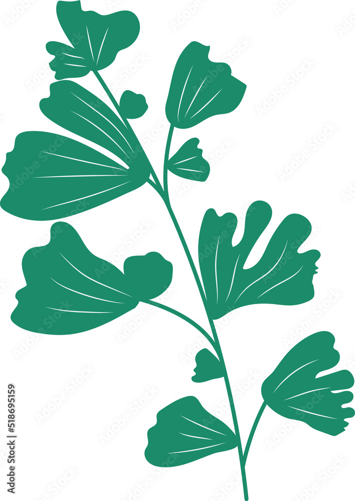 Green Rustic Organic Leaves Botanical Sketches Illustration Plant Art