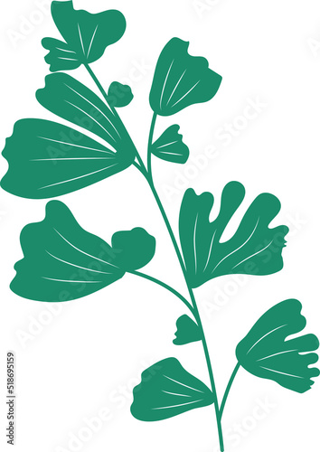 Green Rustic Organic Leaves Botanical Sketches Illustration Plant Art