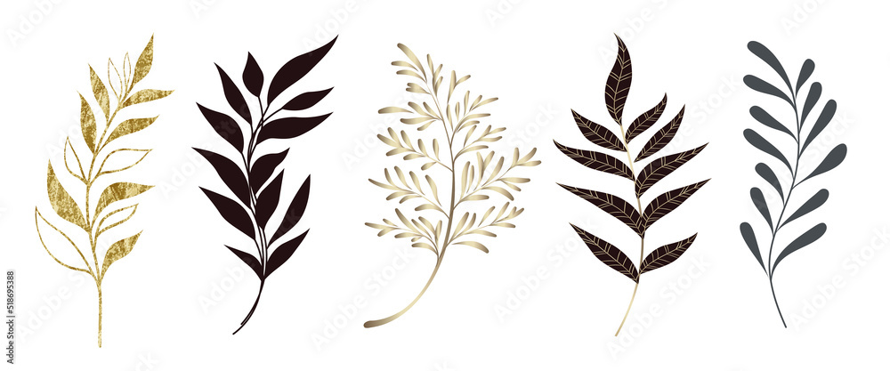 Set of leaves silhouette of beautiful plants, leaves, plant design. Vector illustration 20.