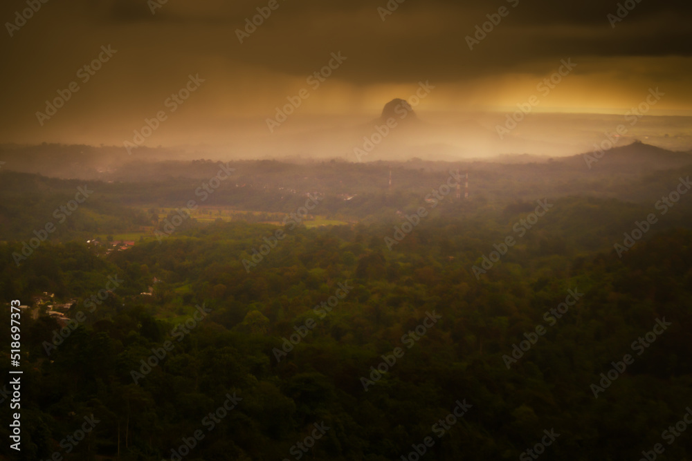 dark and beautiful morning view in the forest. Indonesian natural scenery