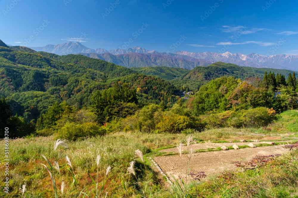 Naklejka premium 北アルプスと田んぼ