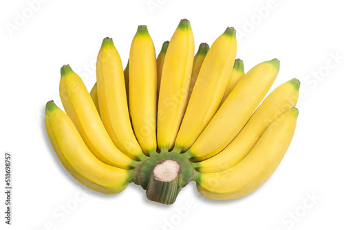 Gros Michel banana on white background.