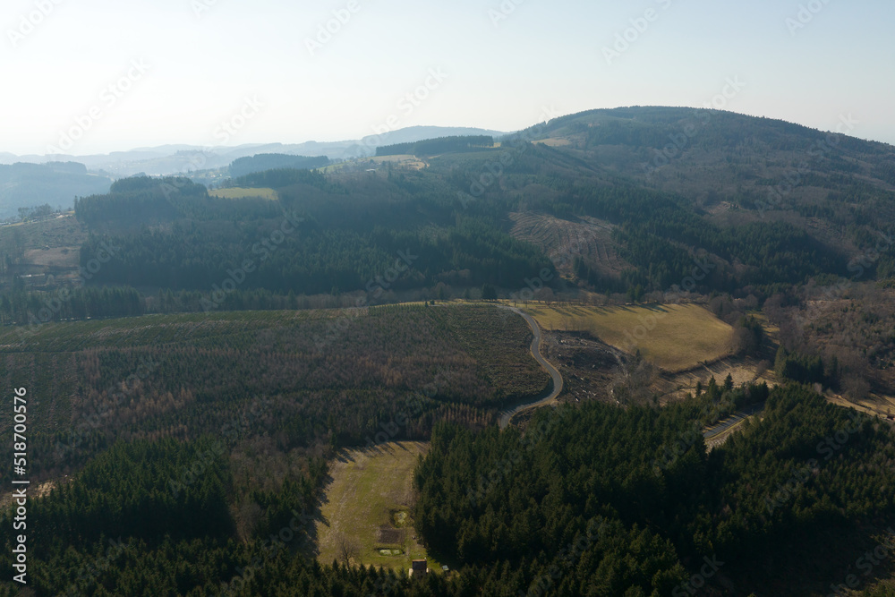 Aerial view of pine forest with large area of cut down trees as result of global deforestation industry. Harmful human influence on world ecology