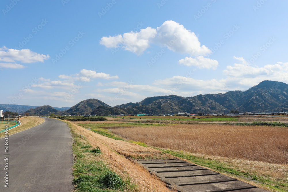 Fototapeta premium 狩野川河川敷（静岡県清水町）