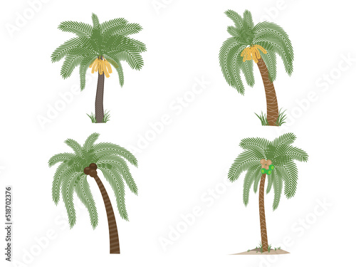 Design element of palm trees Palm fruit tree icon.  for web design isolated on white background Vector illustration.