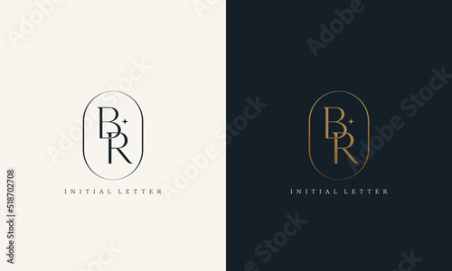 premium BR logo monogram with gold circle frame. luxury initials design minimal modern typeface