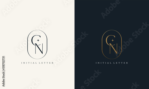 premium CN logo monogram with gold circle frame. luxury initials design minimal modern typeface
