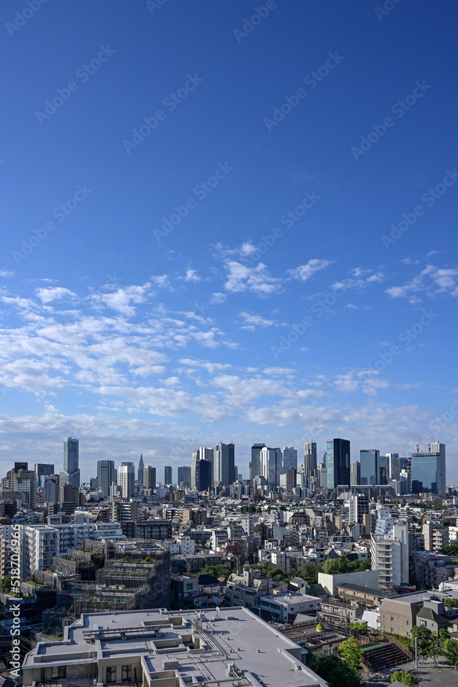 city skyline, 2022/05/28 06:44, Tokyo Shinjuku skyscrapers