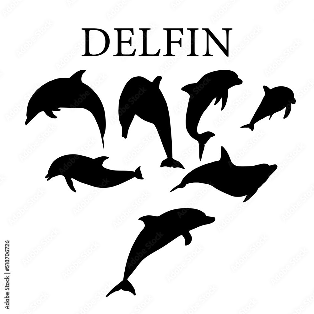 Obraz premium Silueta vectorial del delfín.