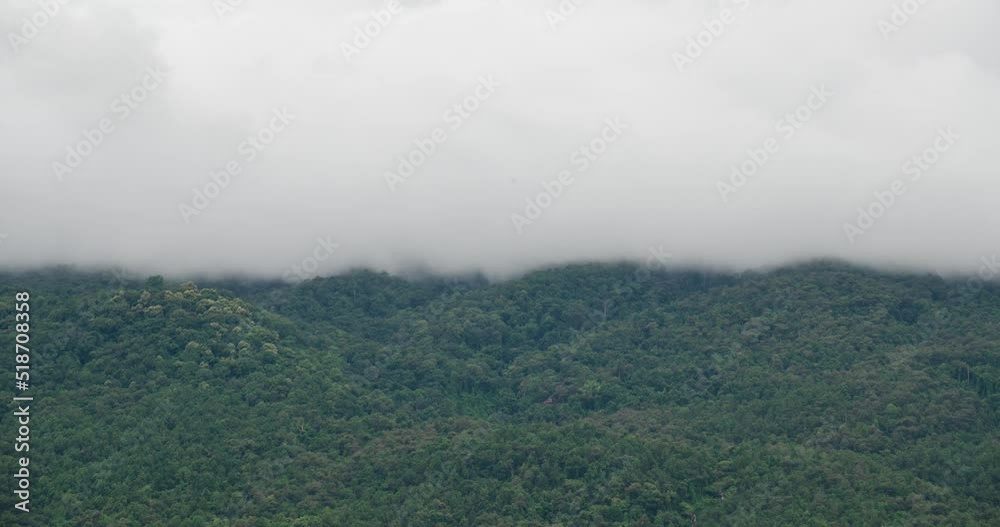 timelapse nature cloud fog moving on the mountain hill with forest in winter time timelapse nature cloud fog moving on the mountain hill with forest in winter time