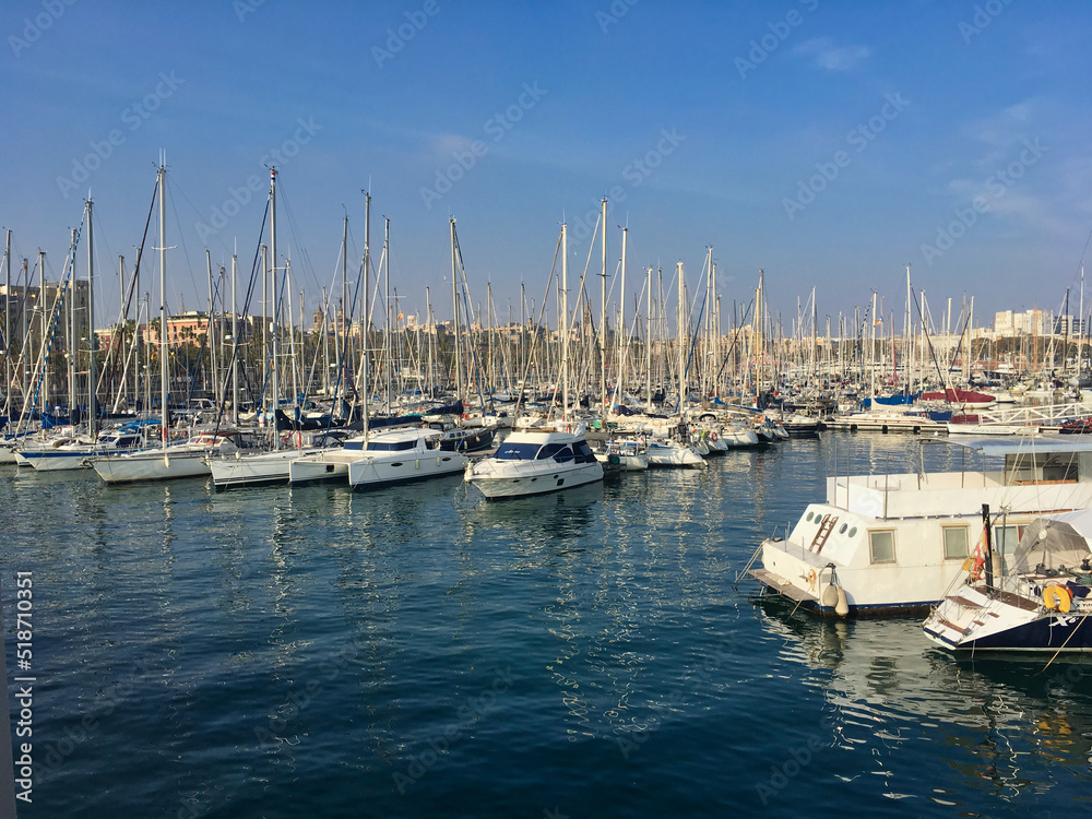 Harbor crowded with a high quantity of boats docked