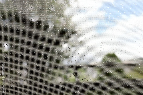 Water droplets on the screen door after the rain and the scenery through the screen door.