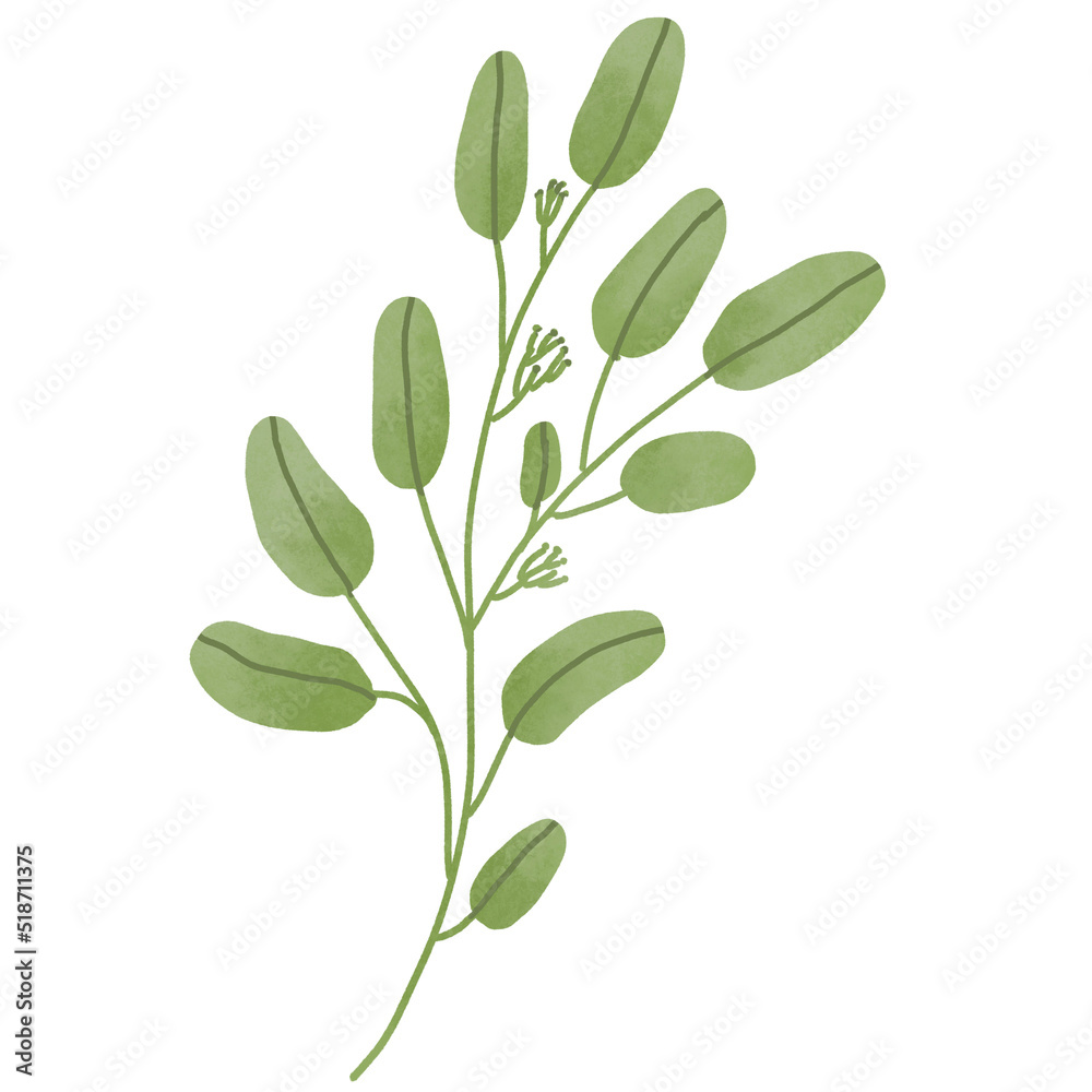 Fototapeta premium Hand drawn Green leaf and leaves illustrative
