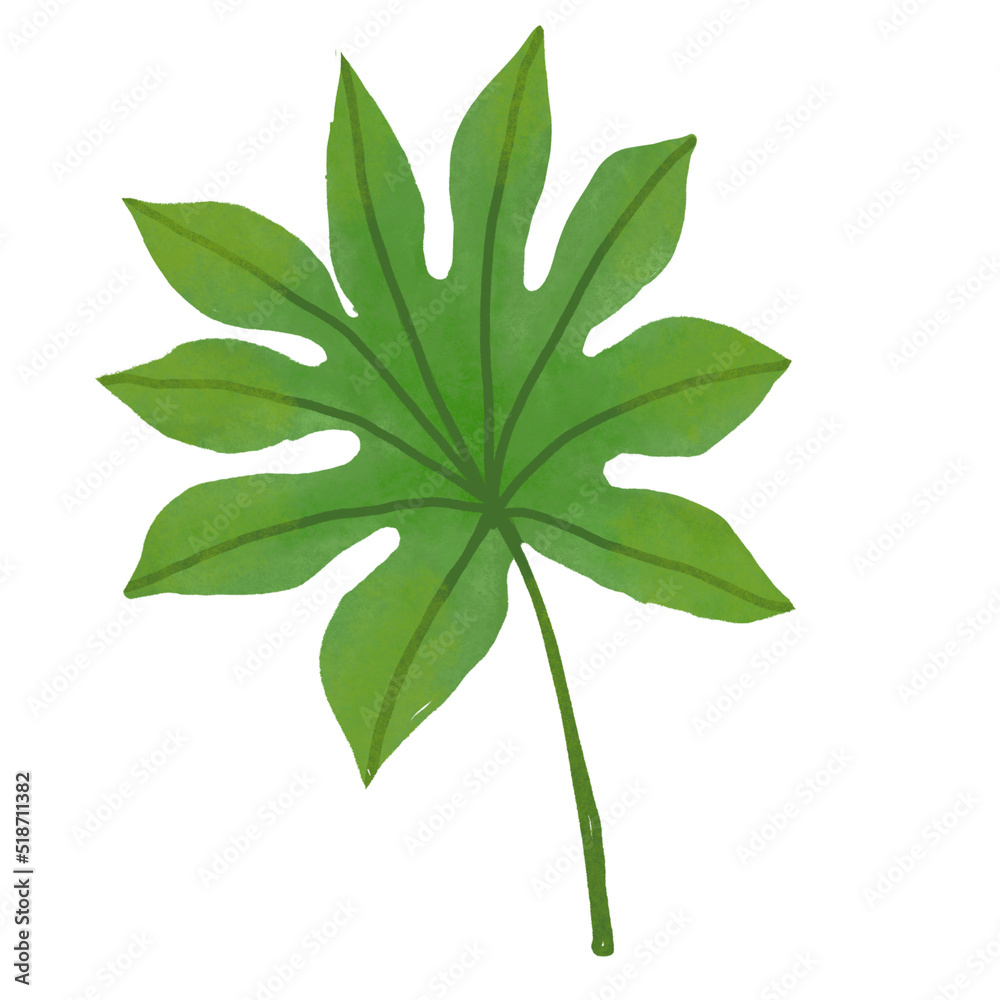 Hand drawn Green leaf and leaves illustrative Hand drawn Green leaf and leaves illustrative