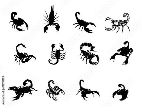 Scorpion Image. silhouette scorpion vector. Scorpion Royalty Free Vector Image. Scorpion picture © Rabbi