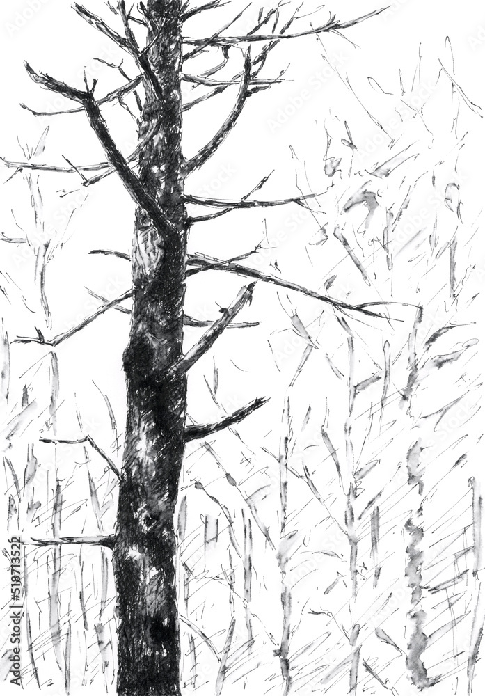 Obraz premium Tree trunk with branches. Ink on paper.