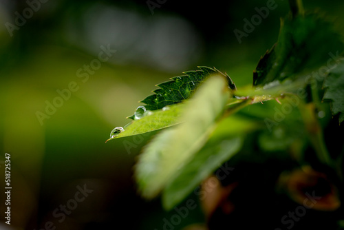 au plus prêt de la nature
