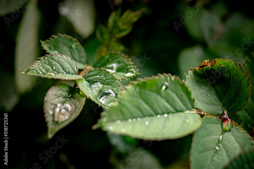 au plus prêt de la nature