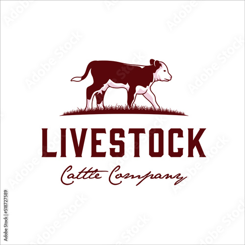 Hereford cow calf logo with elegant design