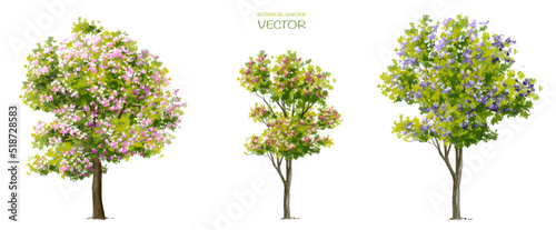 Vector watercolor blooming flower tree side view isolated on white background for landscape and architecture drawing  elements for environment or and garden botanical elements for section 