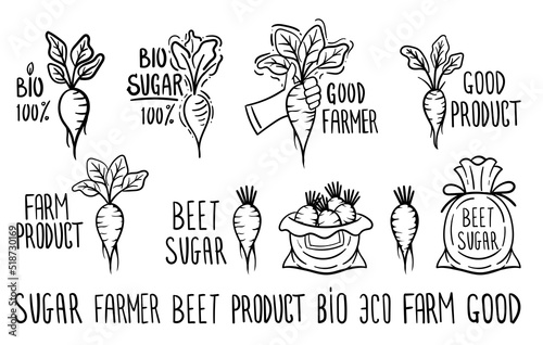 Hand sketched badges and labels of sugar beets. Black and white roots with hand lettering isolated on white background. Vector illustration.