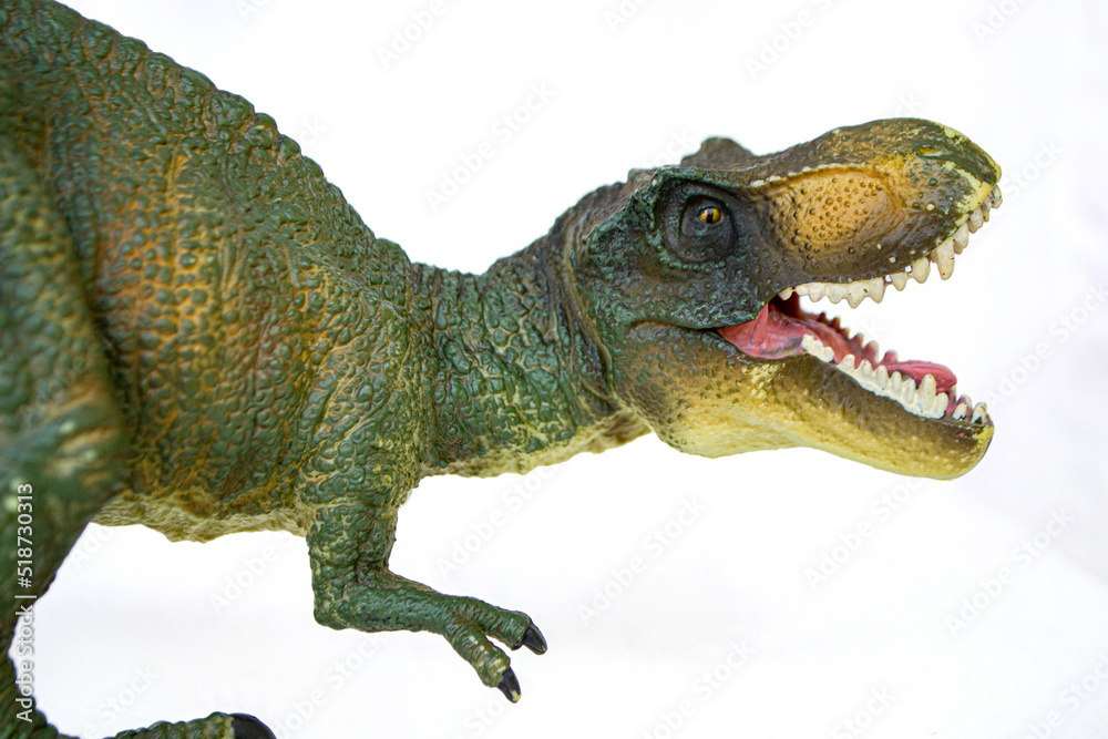 Tyrannosaurus dinosaurs toy isolated on white background with clipping path. High quality photo Tyrannosaurus dinosaurs toy isolated on white background with clipping path. High quality photo