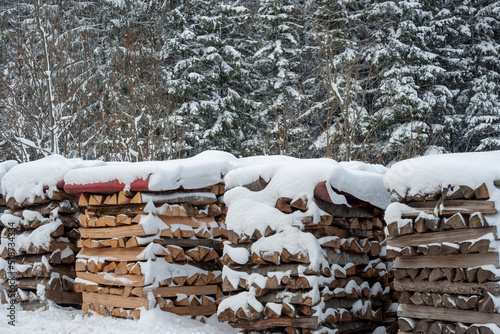 wood stacks covered in snow