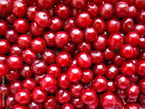 cherry background  cherry close-up  burgundy 