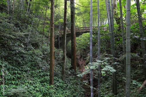 夏の八王子城跡／東京都八王子市